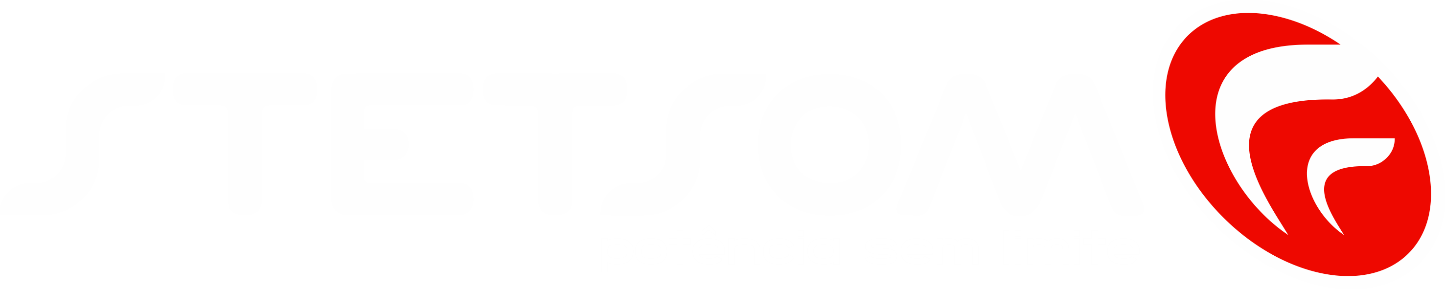 Logo Stetsom